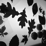 exploring-autumn-on-our-light-table